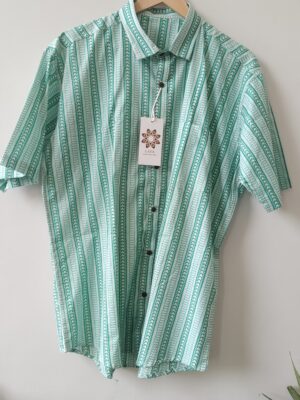 Torquoise Striped Cotton Shirt