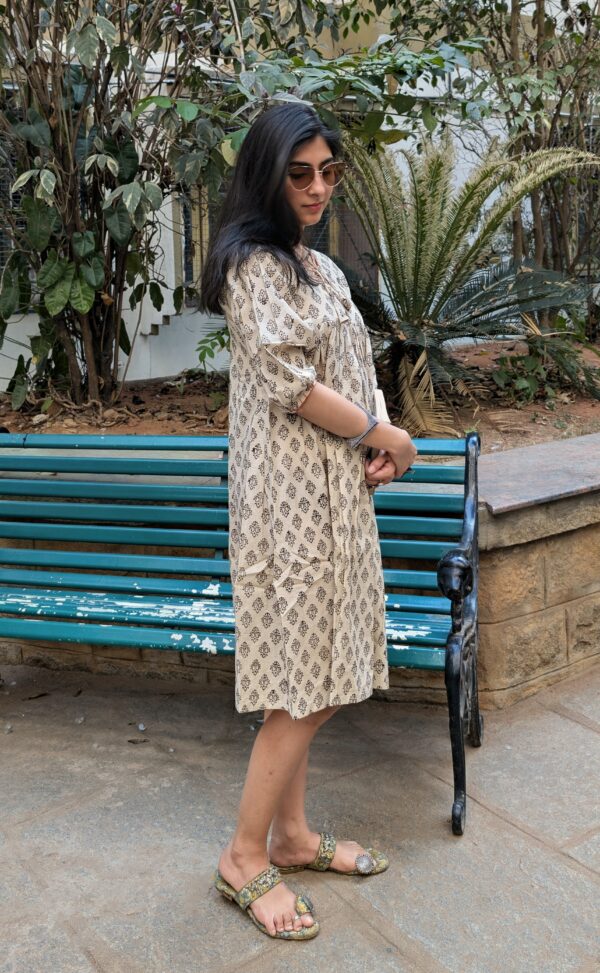 Mitti Muse Dress 1