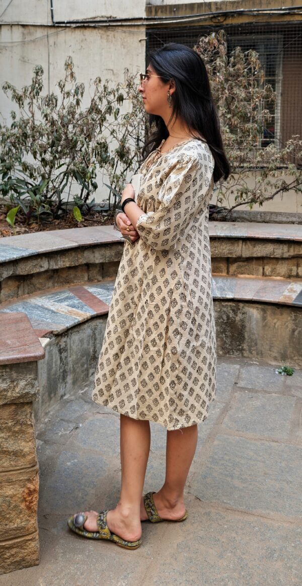 Mitti Muse Dress 3